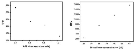 ATP와 루시페린의 양에 따른 화학 발광의 변화