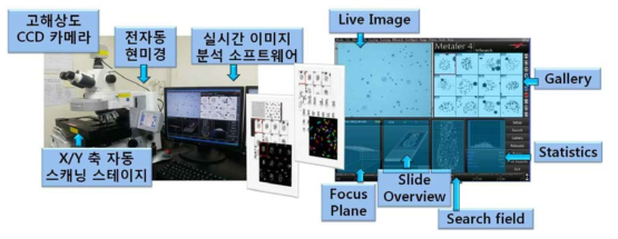 생물학적 선량평가용 자동 이미지 촬영/분석 장비(Metafer system)