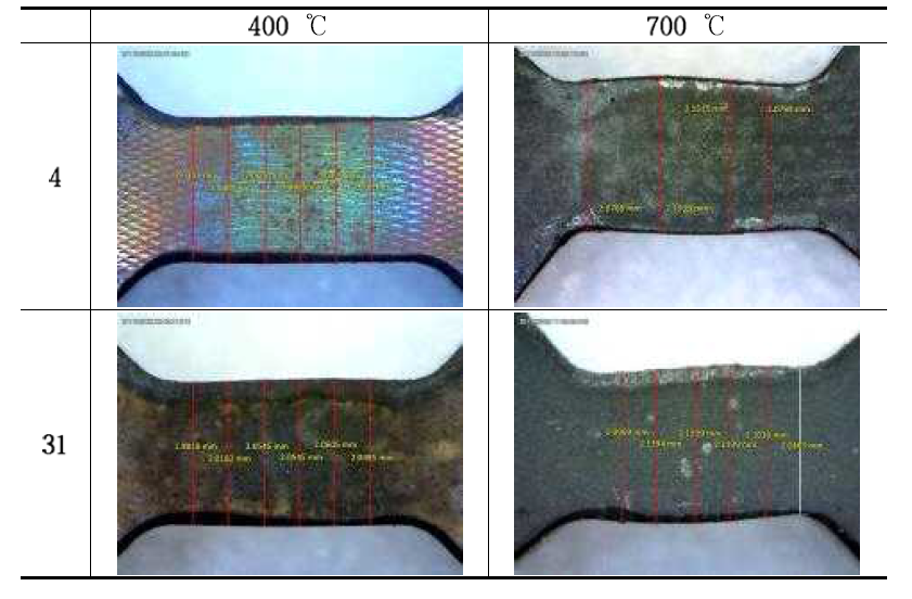 Results of XM-19 Specimen Test