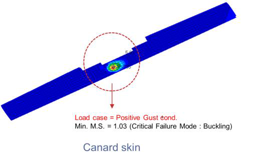 Static Analysis Results of Canard Skin