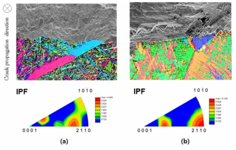 하중비 0.1의 (a) 대기 및 (b) -0.1 V vs Ecorr가 인가된 0.6 M NaCl 수용액 환경에서 피로균열전파 시험된 BQ/S 시편의 EBSD 분석: 20 MPa√m 미만의 ΔK 영역