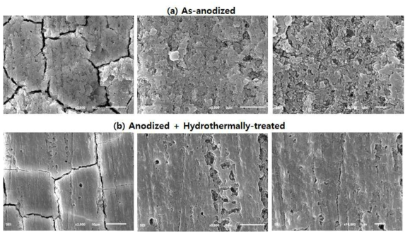 Surface morphologies of black films formed on AZ31 Mg alloy anodically at 30mA/cm2 for 10 mim in 1 M NaOH solution (a) before and (b) after hydrothermal treatment for 30 min in boiling water