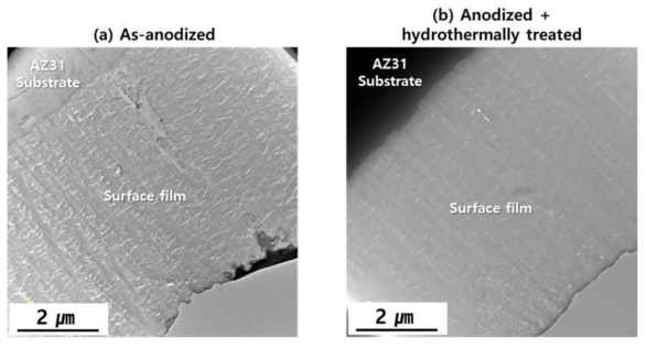 TEM micrographs of anodic oxide films on AZ31 Mg alloy prepared by low voltage anodizing (a) before and (b) after hydrothermal treatment for 30 min in boiling water