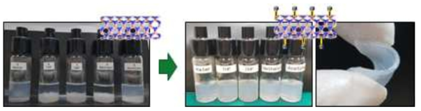 Pyridine 단분자를 이용한 BNNT 분산 실험과 BNNT를 이용해 제조한 고분자 복합체