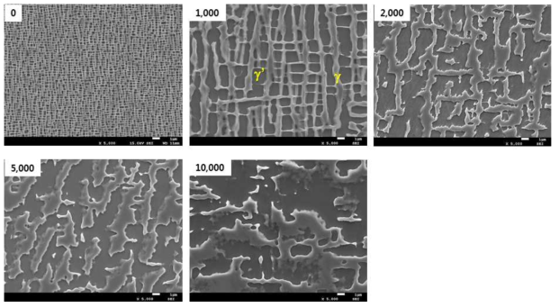 1050℃ 열처리 시간(0~10000시간)에 따른 수지상 SEM 미세조직
