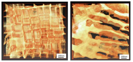 고분해능 3차원 FIB분석 결과: 미열처리재(좌), 1000시간 열처리재(우)