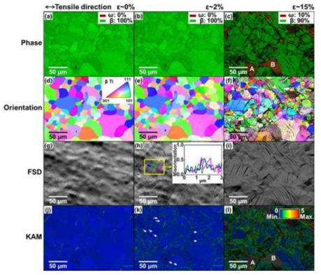 Ti-23Nb-Ta-Hf-O gum metal의 변형율에 따른 실시간 변형 EBSD 분석결과 (위에서부터 Phase map, 방위맵, FSD 이미지, Kernel average misorientation map)