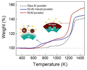 Ni코팅된 Al분말의 열분석 결과