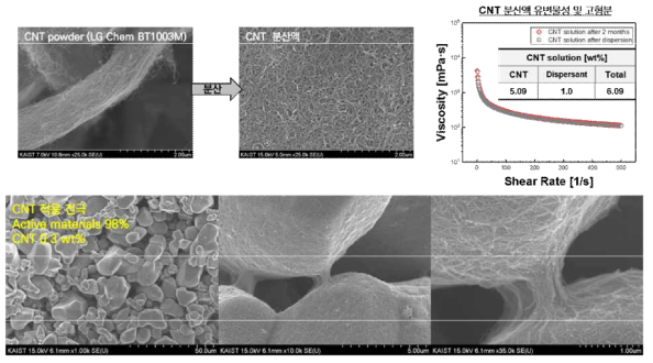 CNT powder, 분산액, 전극 SEM 이미지 및 분산액 유변물성
