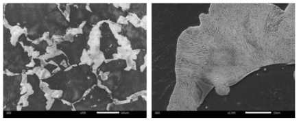 결정립 미세화 휠의 열처리 후 공냉한 시편의 SEM 미세조직