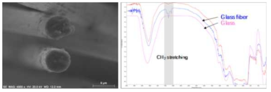 탄소섬유 및 유리섬유의 표면 분석