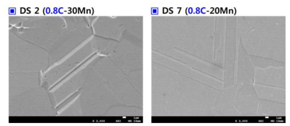 열간압연재의 주사전자현미경 미세조직 사진 (탄소 함량 0.8wt% 강종)