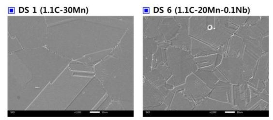 균질화 열처리재의 주사전자현미경 미세조직 사진 (탄소 함량 1.1wt% 강종)