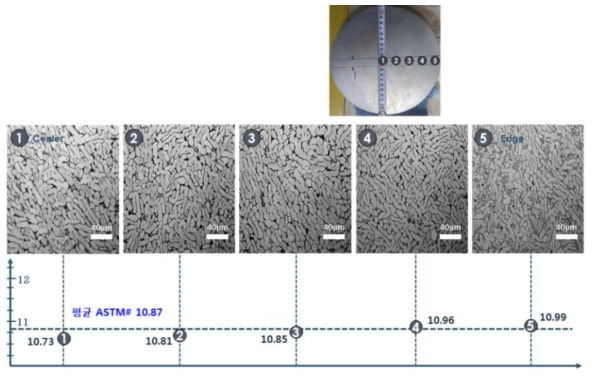 210 mm급 단조재 부위별 미세조직