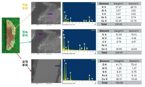 핀 부식 부위 SEM 관찰 및 EDS 분석