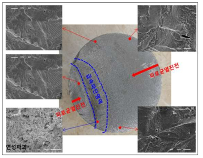 파단면 관찰