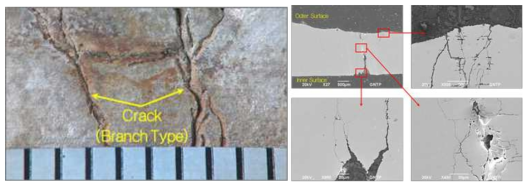 Leak 부위 Branch Type 균열