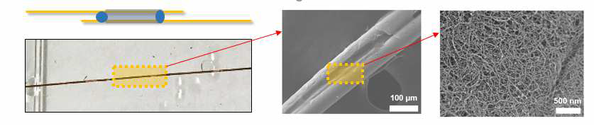 나노탄소다공체로 구성된 섬유형 오존가스센서 구조 및 SEM 이미지