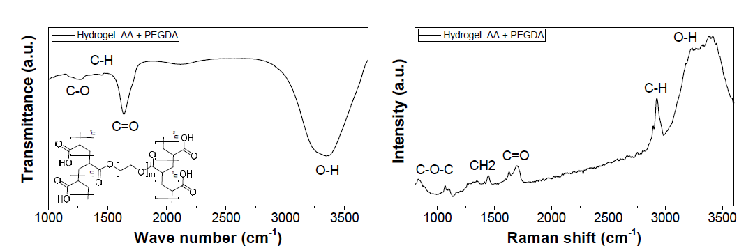 Hydrogel의 IR spectrum (좌)과 Raman spectrum (우)