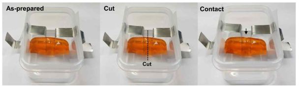 Self-healing을 통한 ion conductivity recovery 실험 demonstration