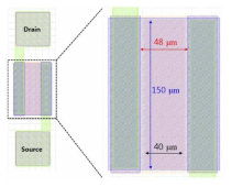 기본 gateless FET 소자 layout