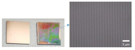 나노임프린트 공정을 통해 TiN 표면에 제작된 nanoline array
