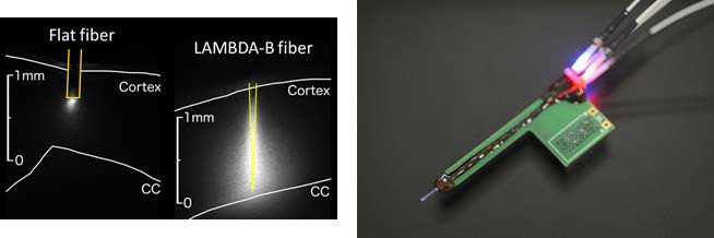 NeuroNexus optoelectrode