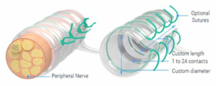 MicroProbes의 말초신경 전극 (Nerve cuff)