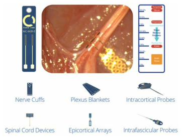 Qualia Lab의 다양한 전극 및 삽입된 모습