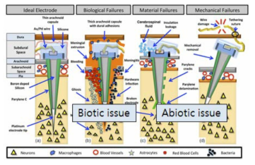 신경전극의 신뢰성 이슈 분류