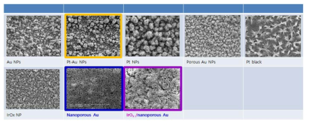 신경전극 성능 향상을 위해 개발한 다양한 금속 나노구조체