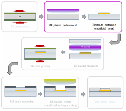 Au 전극 패터닝 공정
