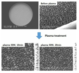 SU-8 passivation된 전극의 플라즈마 처리 전, 후 비교 SEM 사진