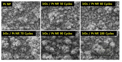 유연기판 전극에 형성된 Pt 나노입자 및 IrOx/Pt 나노구조체의 FESEM 사진