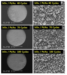 IrOx/Pt 나노입자/Au 나노입자의 배열로 표면 개질한 SU-8 기반 유연전극 표면 FESEM 사진