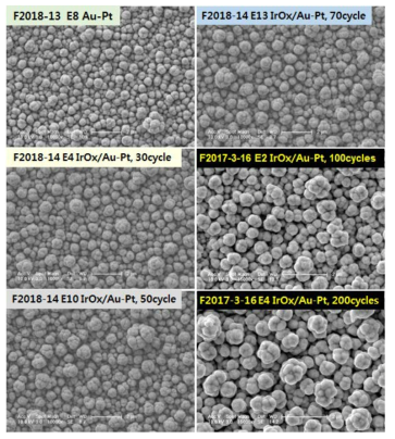 IrOx/Au:Pt 이종합금 나노구조체 전극 FESEM 이미지