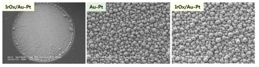 IrOx/Au:Pt 나노구조체로 표면 개질된 SU-8 기반 유연신경전극의 표면 FESEM 이미지