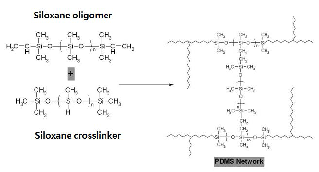 PDMS 경화 메카니즘