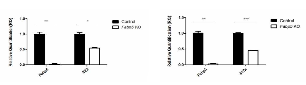 정상 mouse의 splenocyte에 shRNA를 통해 fabp5 gene을 knockdown 시킨 후 real time PCR로 th17 분비 cytokine의 전사 변화 확인한 결과