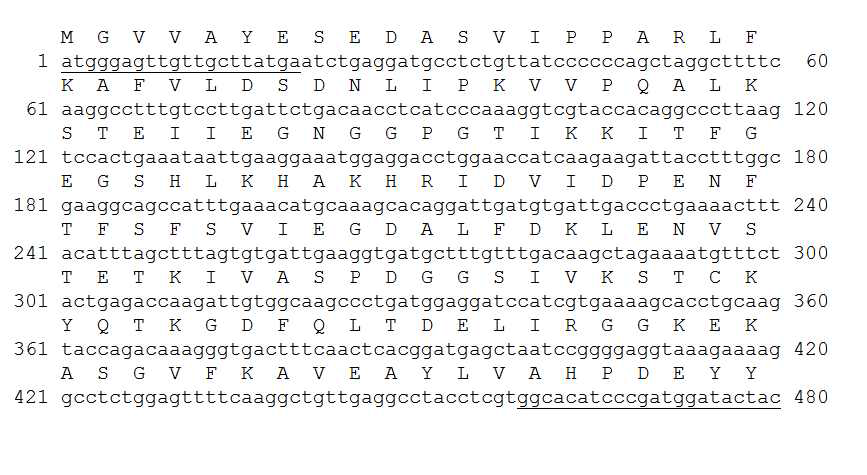 Que m 1의 cDNA와 아미노산 서열. 밑줄은 primer site임