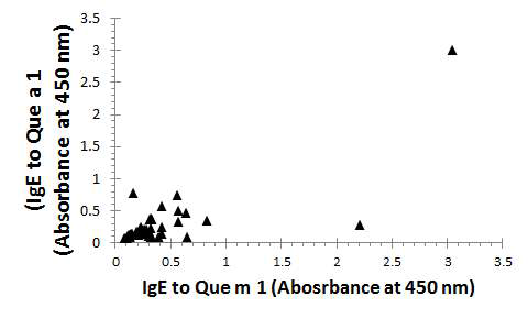 참나무 알레르겐 Que m 1과 Que a 1의 IgE 반응성 비교