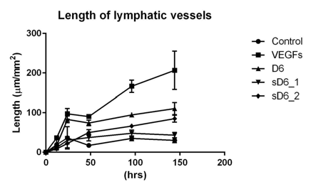 D6 trap은 non-sulfated form에 비해 lymphangiogenesis를 감소