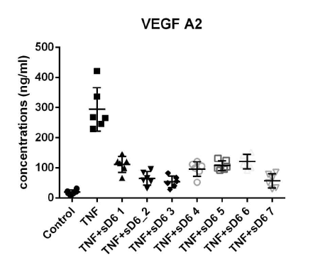 sulfated form D6MT에 의해 T NF-alpha에 의해 유도되는 VEGF-A의 발현이 감소