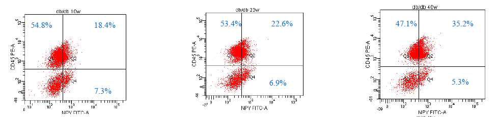 Y 와 CD45에 대한 FACS analysis