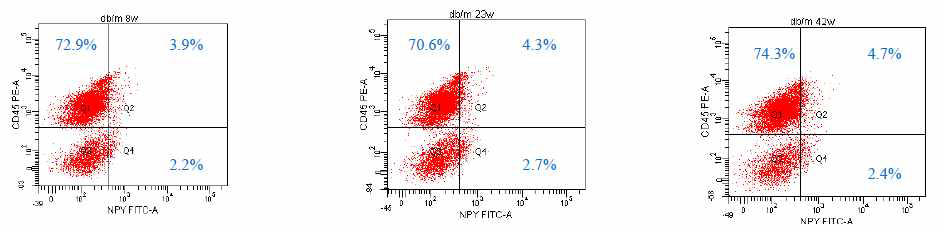 Y 와 CD45에 대한 FACS analysis (II). 연령과관련된 evidence