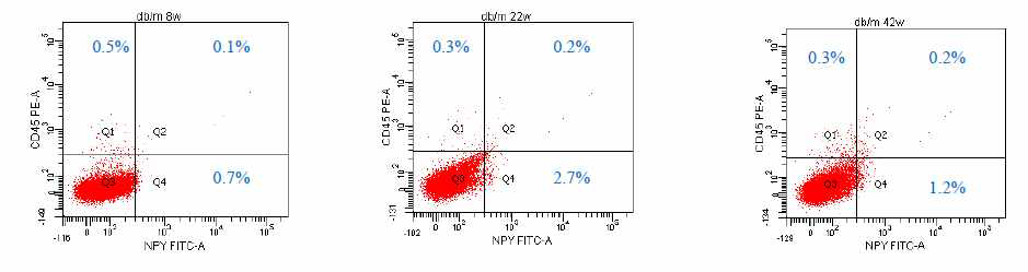 Y 와 CD45에 대한 FACS analysis (IV)