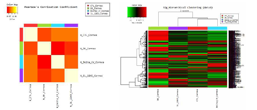 연구 시 모두 4개의 조건 (naive, 건성안, LYVE-1 CKO+건성안, IL-22 KO+건성안)에서 microarray를 시행하였으며 왼쪽은 분석의 pearson correlation coeffieciency 이고 오른쪽은 cluster analysis-Hierarchical cluster heatmap임