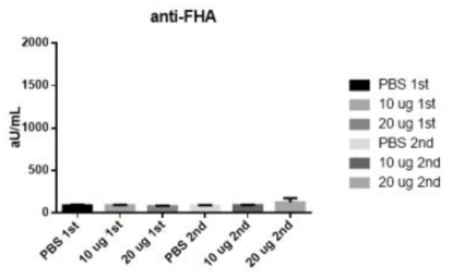 백일해 FHA 단백질 백신을 마이크로니들로 전달하였을 때의 FHA 단백질 항체가 측정