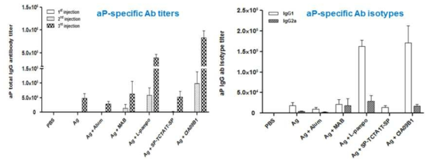 aP항원 특이적인 항체역가 및 항체 isotype 분석