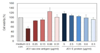 JEV 항원의 세포독성 분석